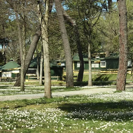 Camping El Rosal San Vicente De La Barquera